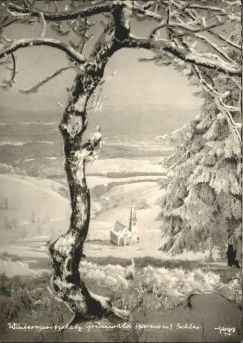 Polen Grünwald Schlesien Winter