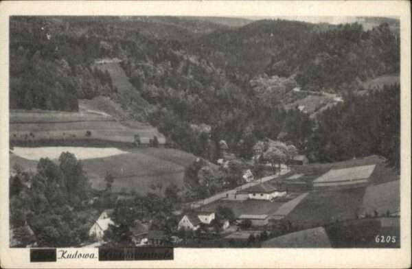 Bad Kudowa Niederschlesien Bad Kudowa Heuscheuerstrasse