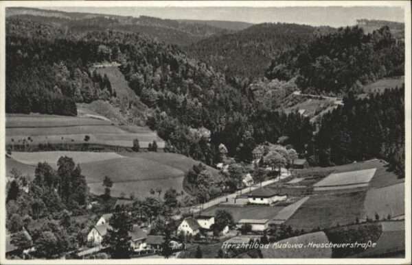 Bad Kudowa Niederschlesien Bad Kudowa Heuscheuerstrasse