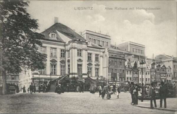 Liegnitz Legnica Liegnitz Rathaus Heringsbuden