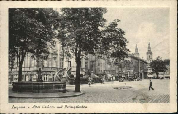 Liegnitz Legnica Liegnitz Rathaus Heringsbuden