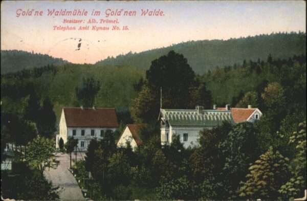 Kynau Gold_ne Waldmühle Gold'nen Walde