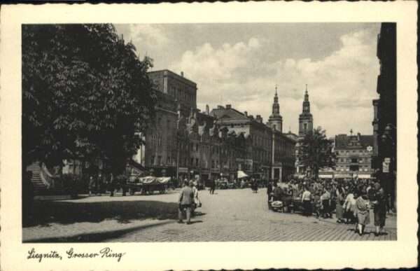 Liegnitz Legnica Liegnitz Grosser Ring