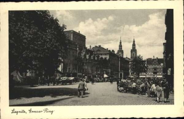 Liegnitz Legnica Liegnitz Grosser Ring