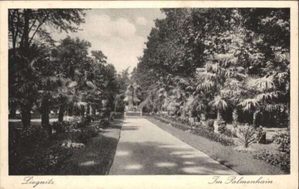 Liegnitz Legnica Liegnitz Palmenhain
