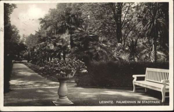 Liegnitz Legnica Liegnitz Palmenhain Stadtpark