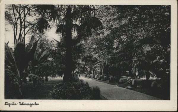 Liegnitz Legnica Liegnitz Palmengarten