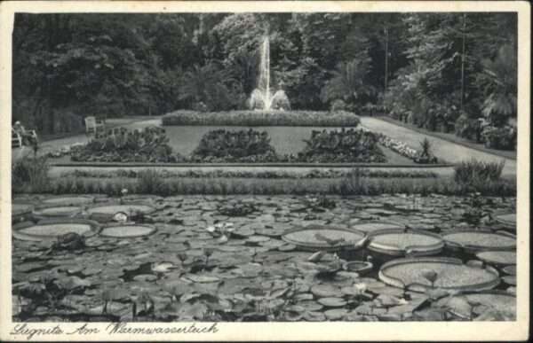 Liegnitz Legnica Liegnitz Warmwasserteich