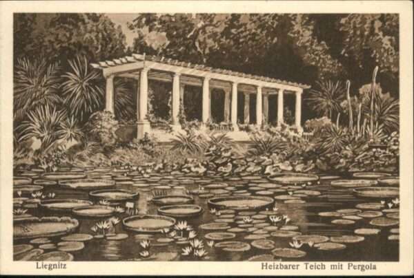 Liegnitz Legnica Liegnitz Teich Pergola