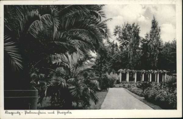Liegnitz Legnica Liegnitz Palmenhain Pergola