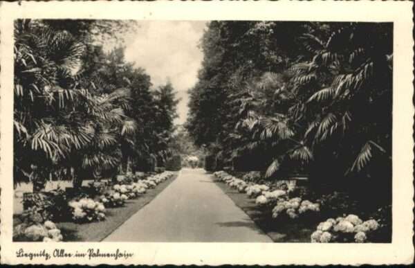 Liegnitz Legnica Liegnitz Allee Palmenhain
