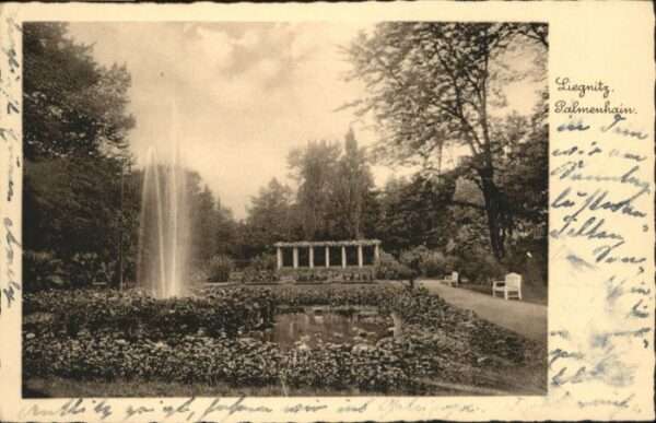 Liegnitz Legnica Liegnitz Palmenhain