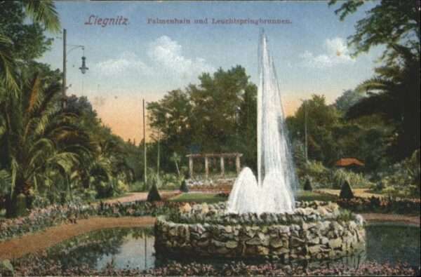 Liegnitz Legnica Liegnitz Palmenhain Leuchtspringbrunnen