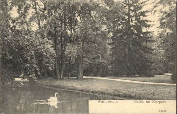 Warmbrunn Kurpark Schwan