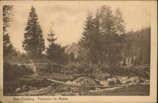 Bad Flinsberg Swieradow Zdroj Bad Flinsberg Forsthaus im Walde