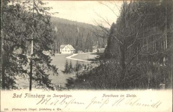 Bad Flinsberg Swieradow Zdroj Bad Flinsberg Forsthaus im Walde