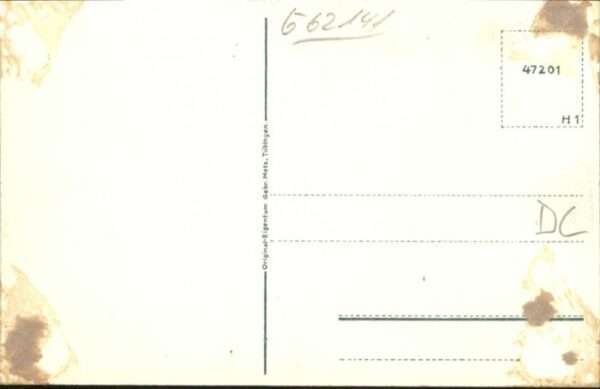 Peterbaude – Bild 2