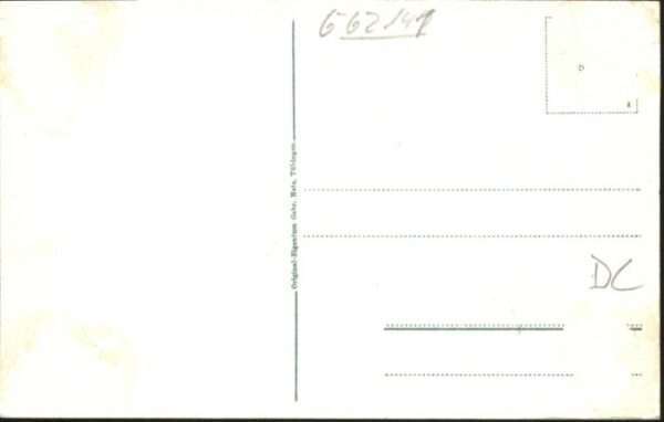 Peterbaude – Bild 2