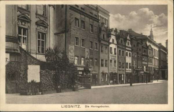 Liegnitz Legnica Liegnitz Heringsbude