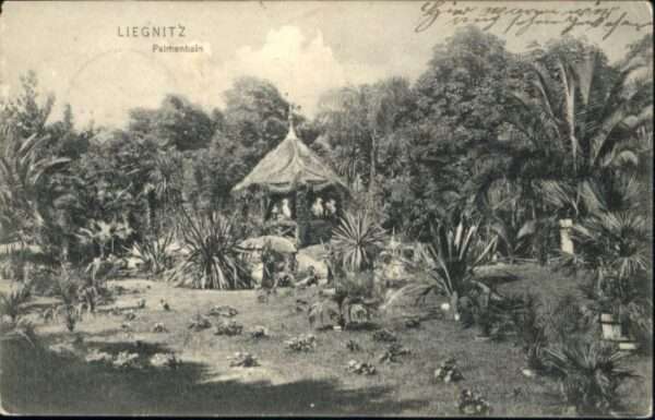 Liegnitz Legnica Liegnitz Palmenhain