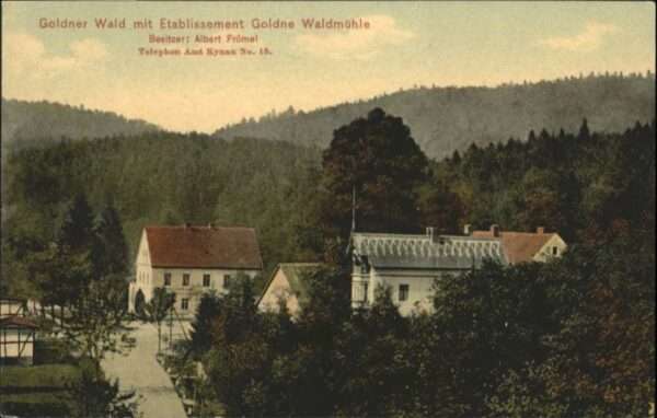 Kynau Goldner Wald Waldmühle
