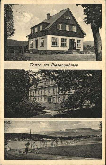Forst