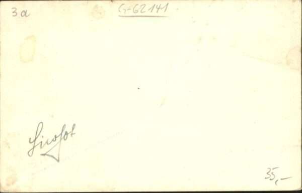 Forst – Bild 2