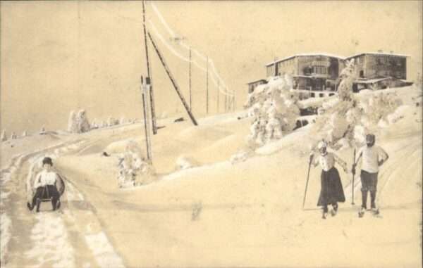Peterbaude Winter Ski Schlitten