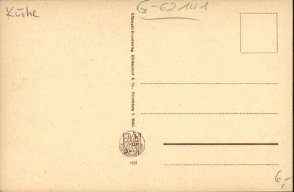 Peterbaude Kühe – Bild 2