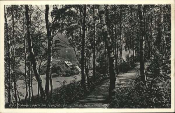 Bad Schwarzbach Birkenwäldchen