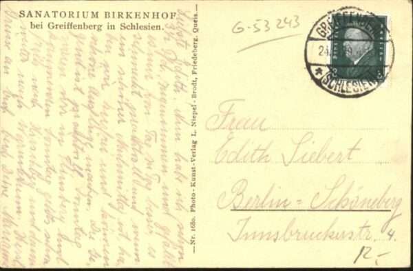 Greiffenstein Isergebirge Sanatorium Birkenhof Burg Ruine – Bild 2