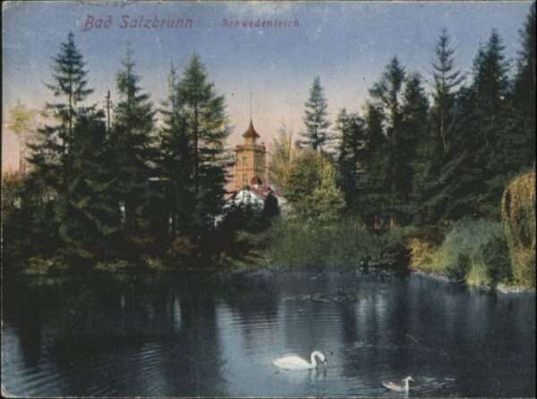 Bad Salzbrunn Szczawno-Zdroj Bad Salzbrunn Schwedenteich Schwan