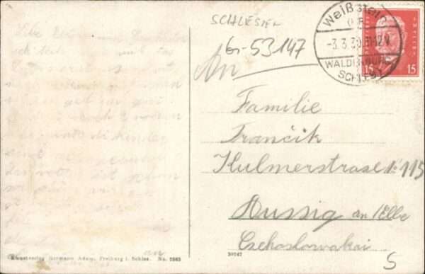 Bad Salzbrunn Szczawno-Zdroj Bad Salzbrunn Schwedenteich Schwan – Bild 2