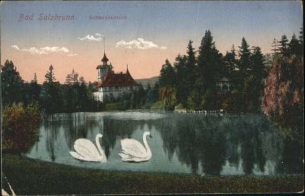 Bad Salzbrunn Szczawno-Zdroj Bad Salzbrunn Schwedenteich Schwan