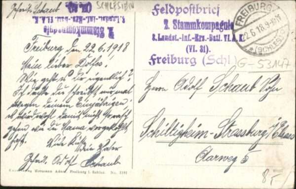 Bad Salzbrunn Szczawno-Zdroj Bad Salzbrunn Schwedenteich Schwan – Bild 2