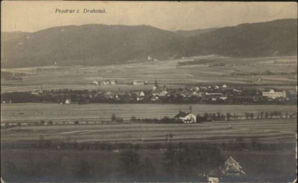 Drahotus