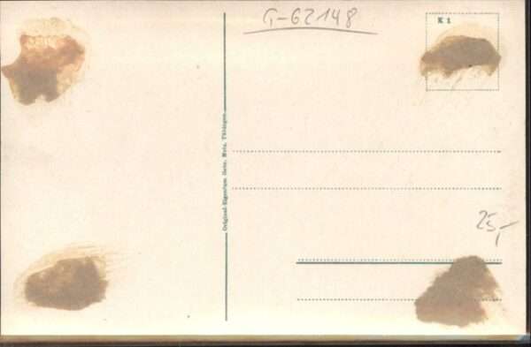 Rainwiese Grand Hotel Pension – Bild 2