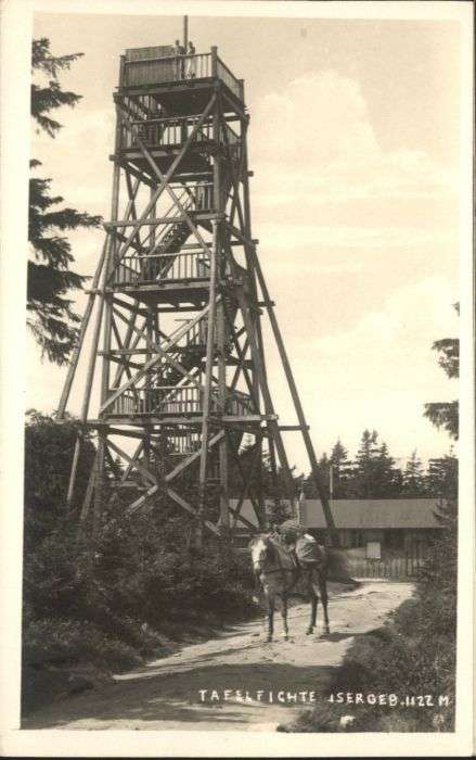 Tafelfichte Pferd Turm
