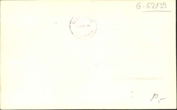 Tafelfichte Pferd Turm – Bild 2