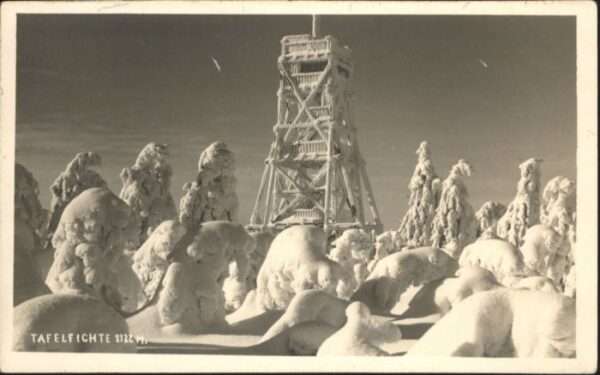 Tafelfichte Turm Winter