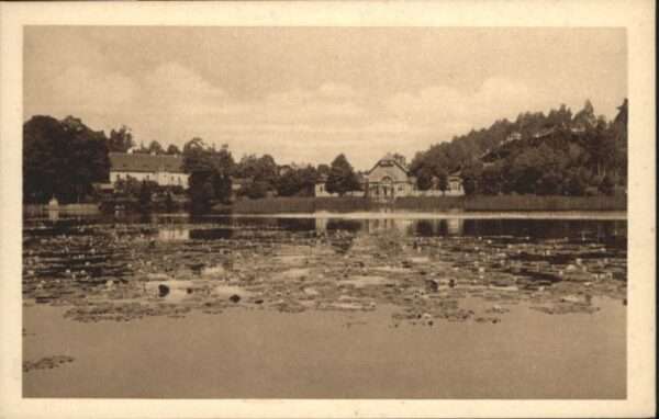 Hammer See Seerosen