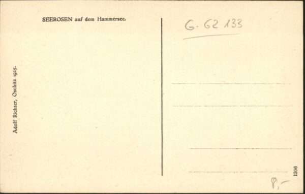 Hammer See Seerosen – Bild 2