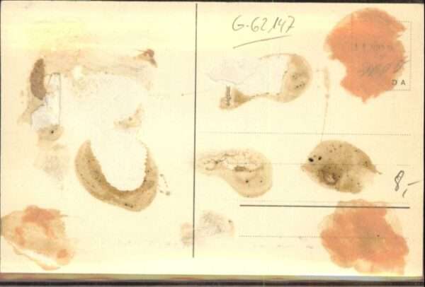 Mueckentuermchen – Bild 2