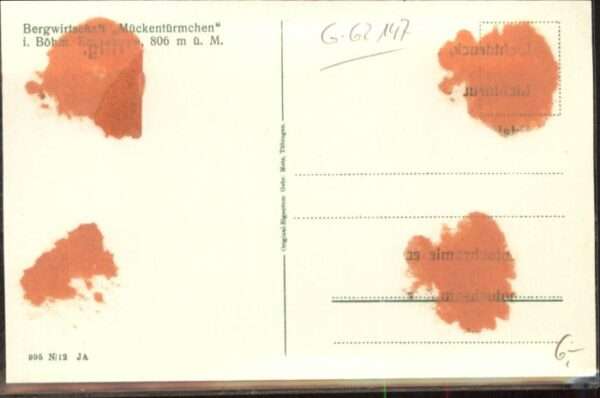 Mueckentuermchen rgwirtschaft * – Bild 2