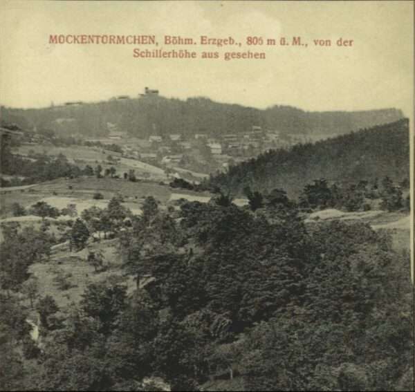 Mueckentuermchen