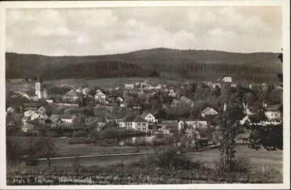 Hals Tachau bei Tachau  Böhmerwald