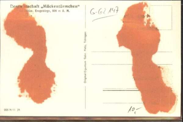 Mueckentuermchen zgebirge * – Bild 2