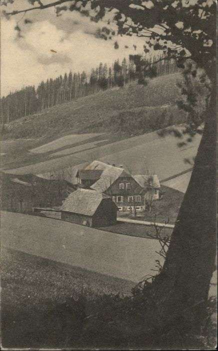 Giesshuebel Adlergebirge Tschechien Weinhaus zur Schnappe