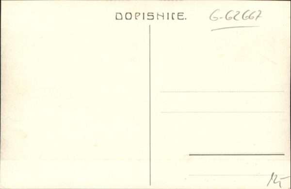 Ciste – Bild 2