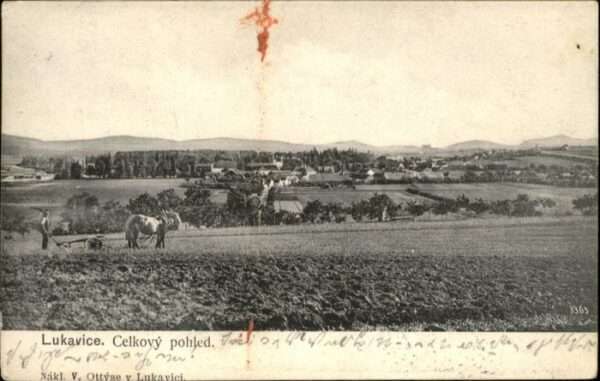 Lukavice Celkovy pohled Pferd